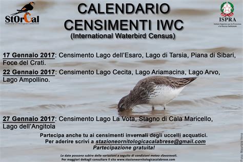 ttest riconoscimento uccelli iwc|I censimenti internazionali degli uccelli acquatici (IWC).